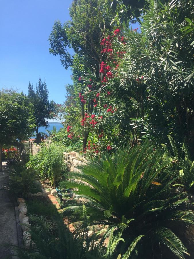 Apartments Milicevic Herceg Novi Luaran gambar
