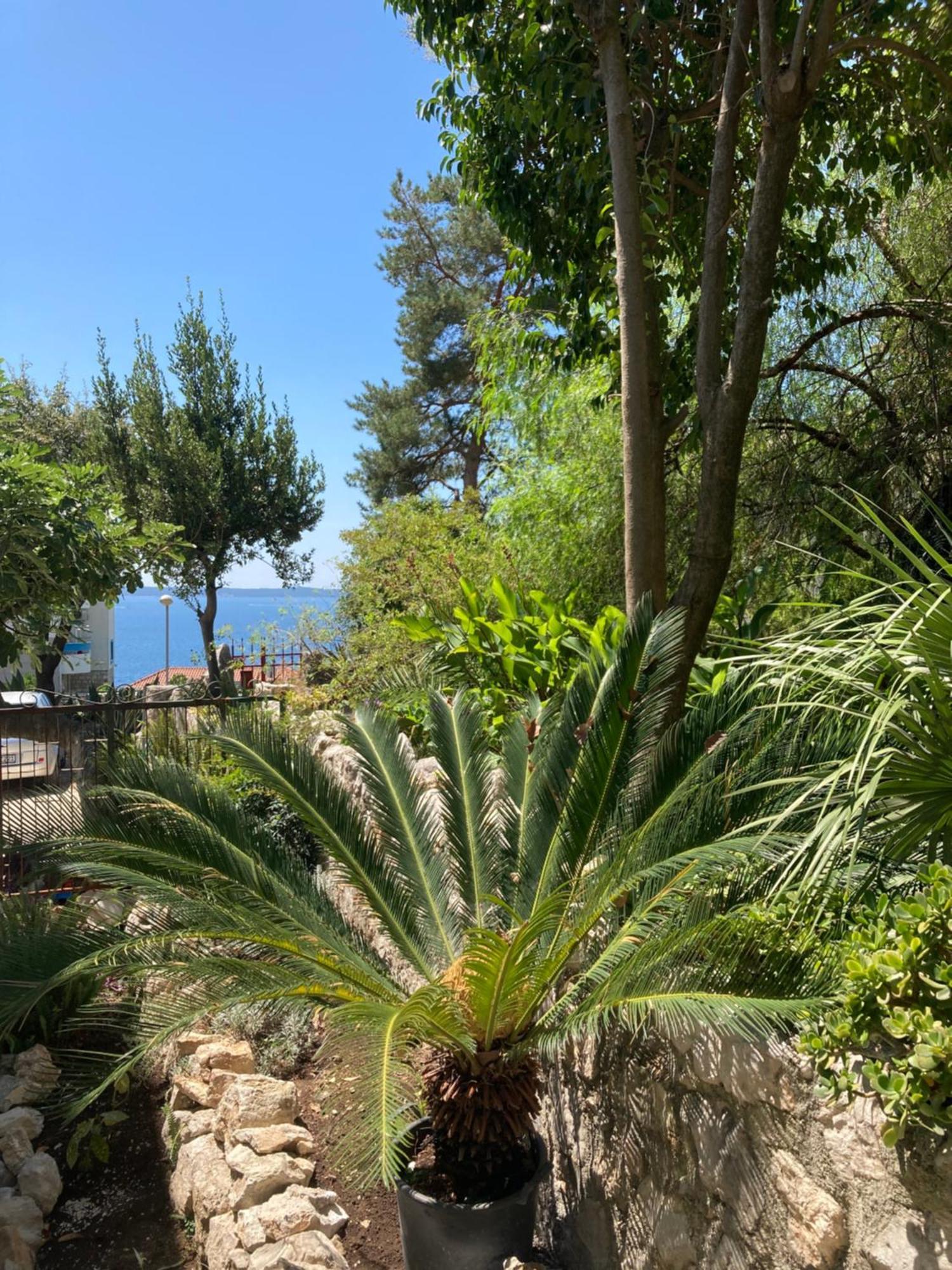 Apartments Milicevic Herceg Novi Luaran gambar