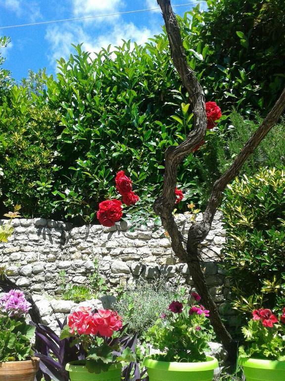 Apartments Milicevic Herceg Novi Luaran gambar